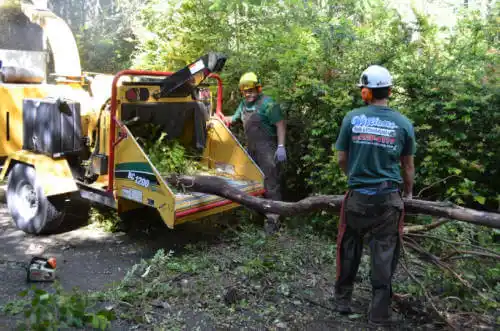 tree services Sugar Grove